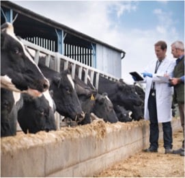 <h2>Contrôle initial sur site pour vérifier le respect des exigences de la règlementation biologique</h2>